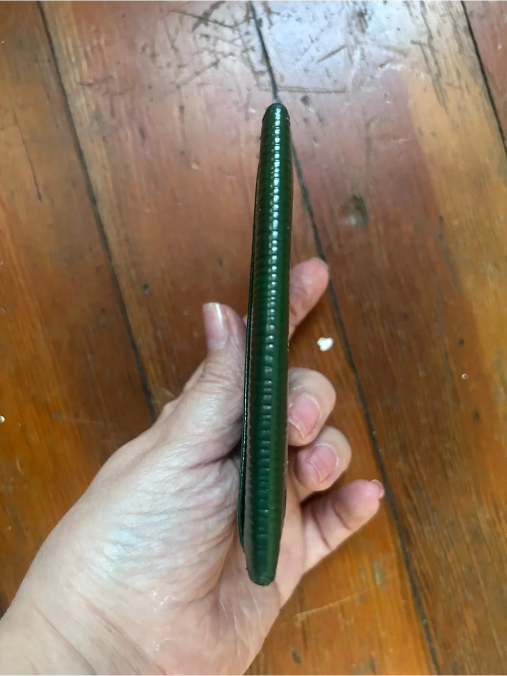 Louis Vuitton sleek green